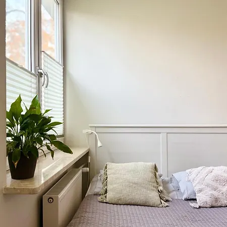 Cozy Saska Kepa *